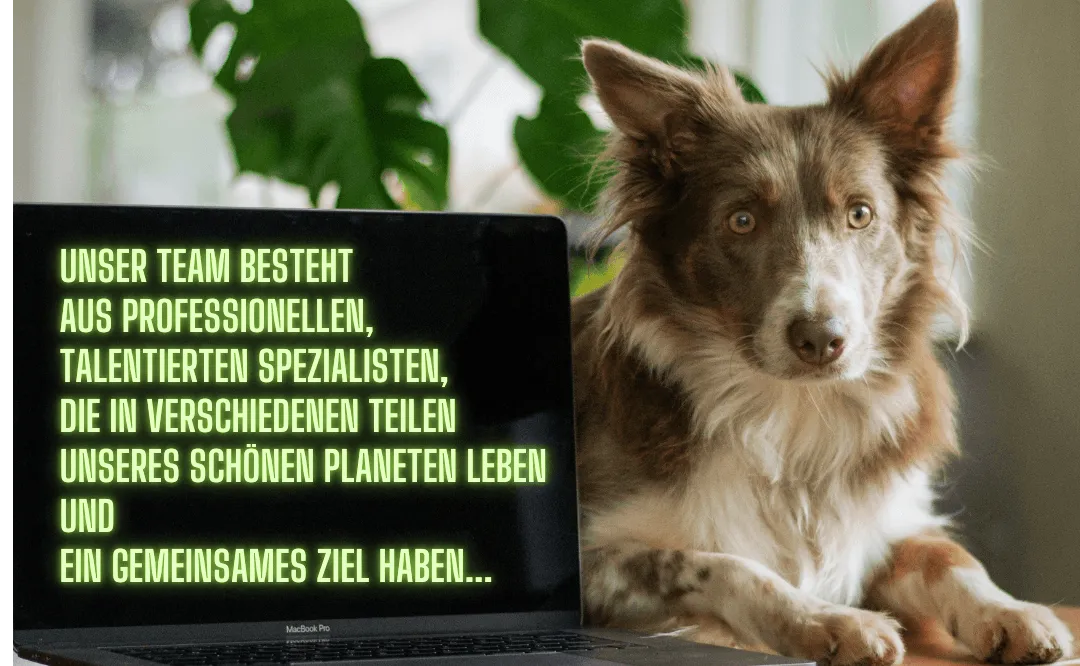 K.K Social & Webagentur