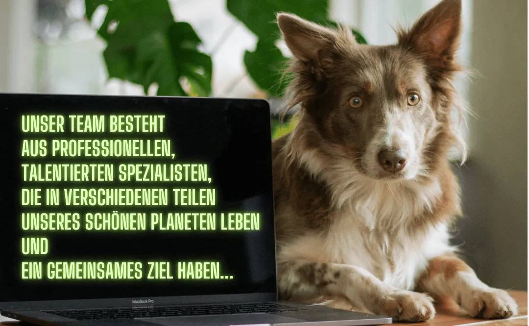 K.K Social & Webagentur